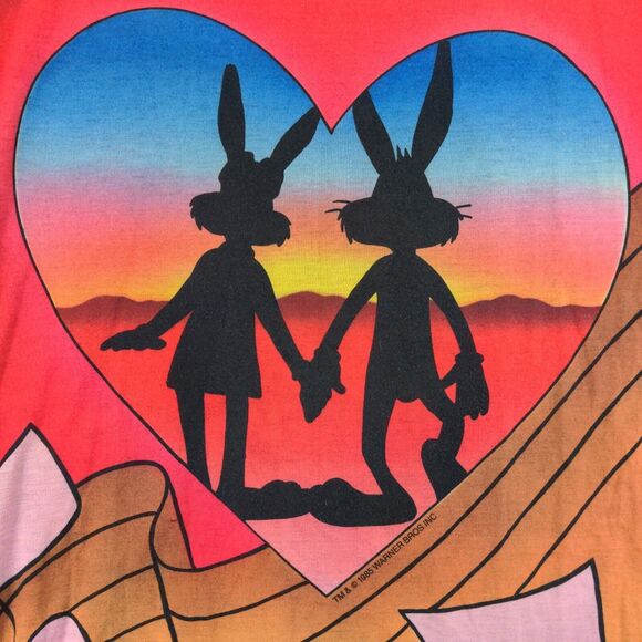 Vintage Jodie Arden Looney Tunes Sweetheart Sleep Shirt Womens XXL Multi - Picture 9 of 14